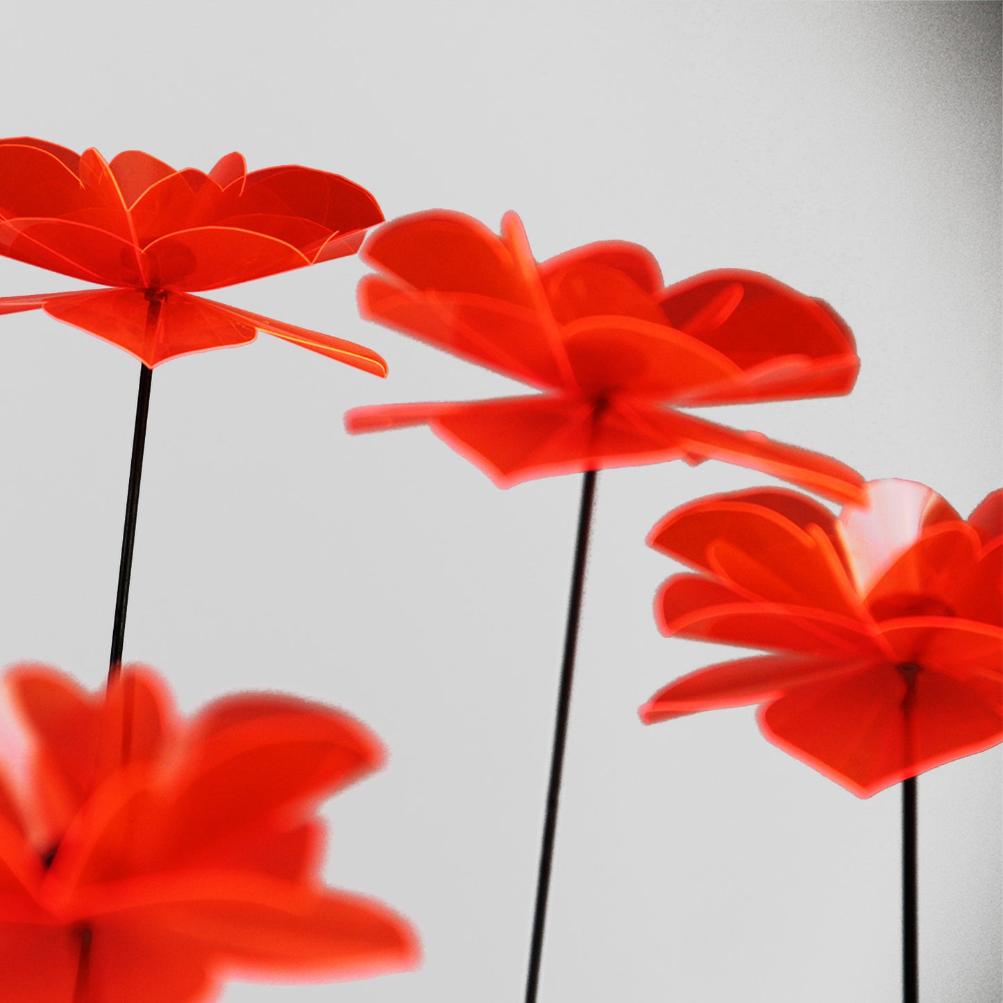 Poppy Flower Straight 1m, flower ca 12 cm diam