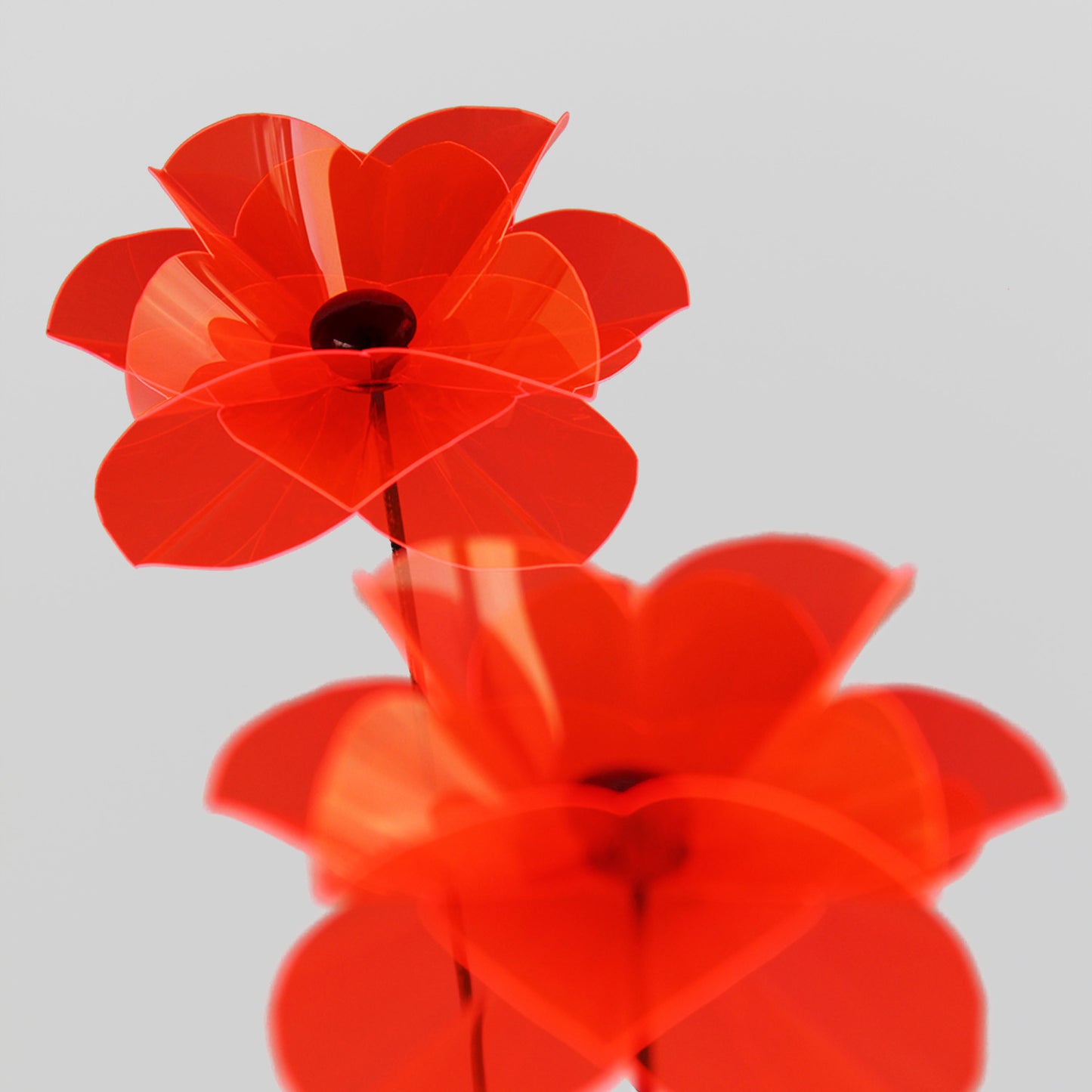 Poppy Flower Straight 1m, flower ca 12 cm diam