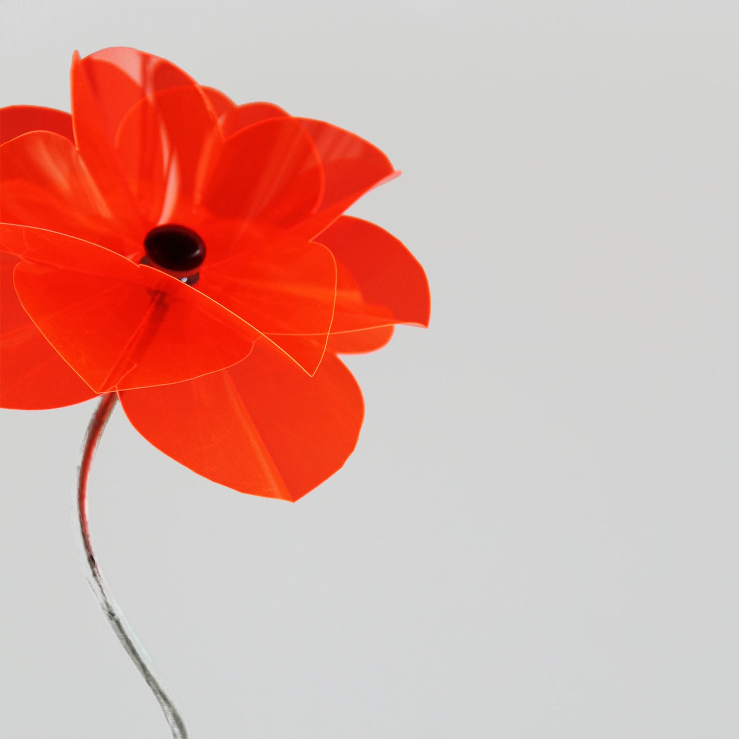 Poppy Flower Skewed 1,8m, flower ca 25 cm diam