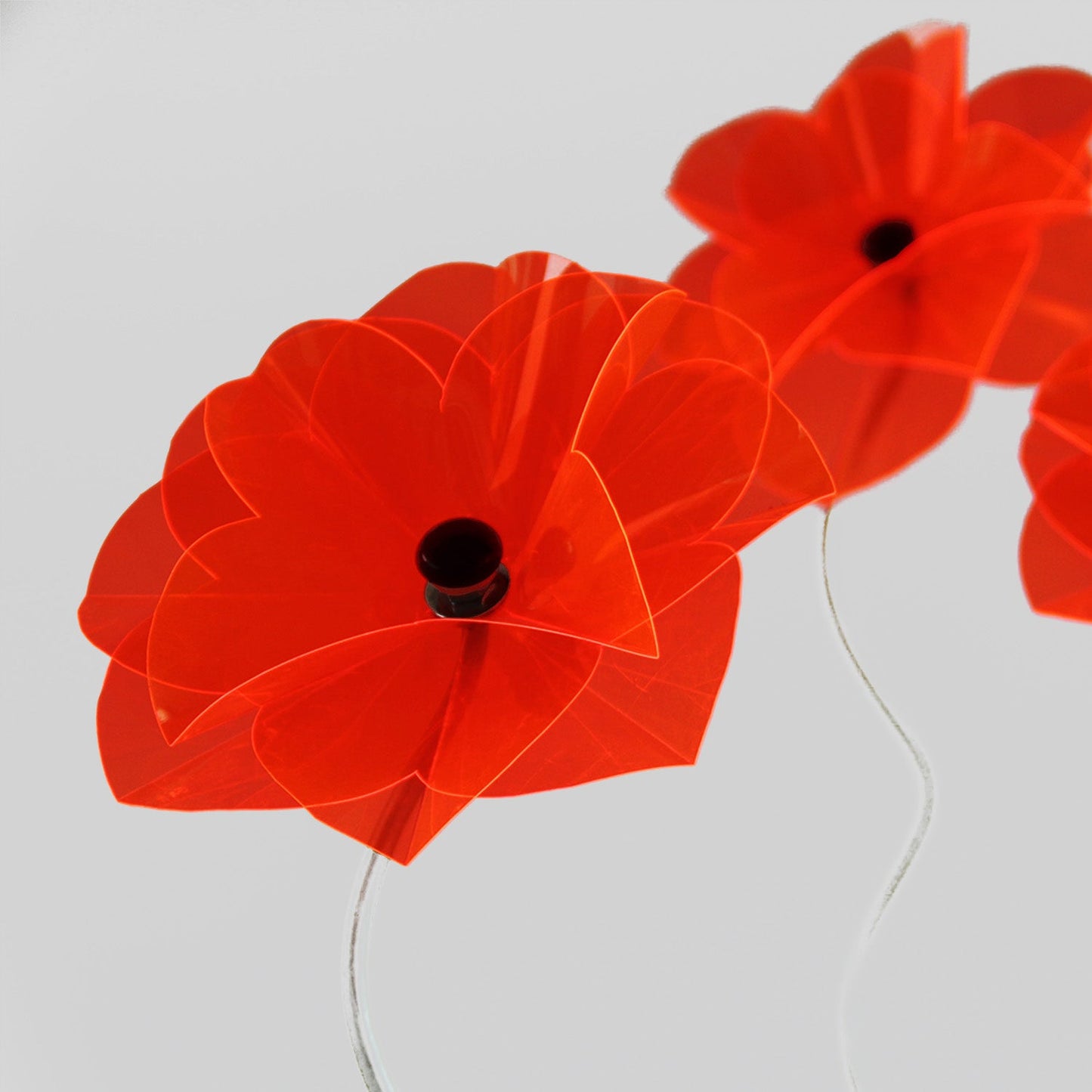 Poppy Flower Skewed 30- 40 cm, flower ca 12 cm diam, all individual