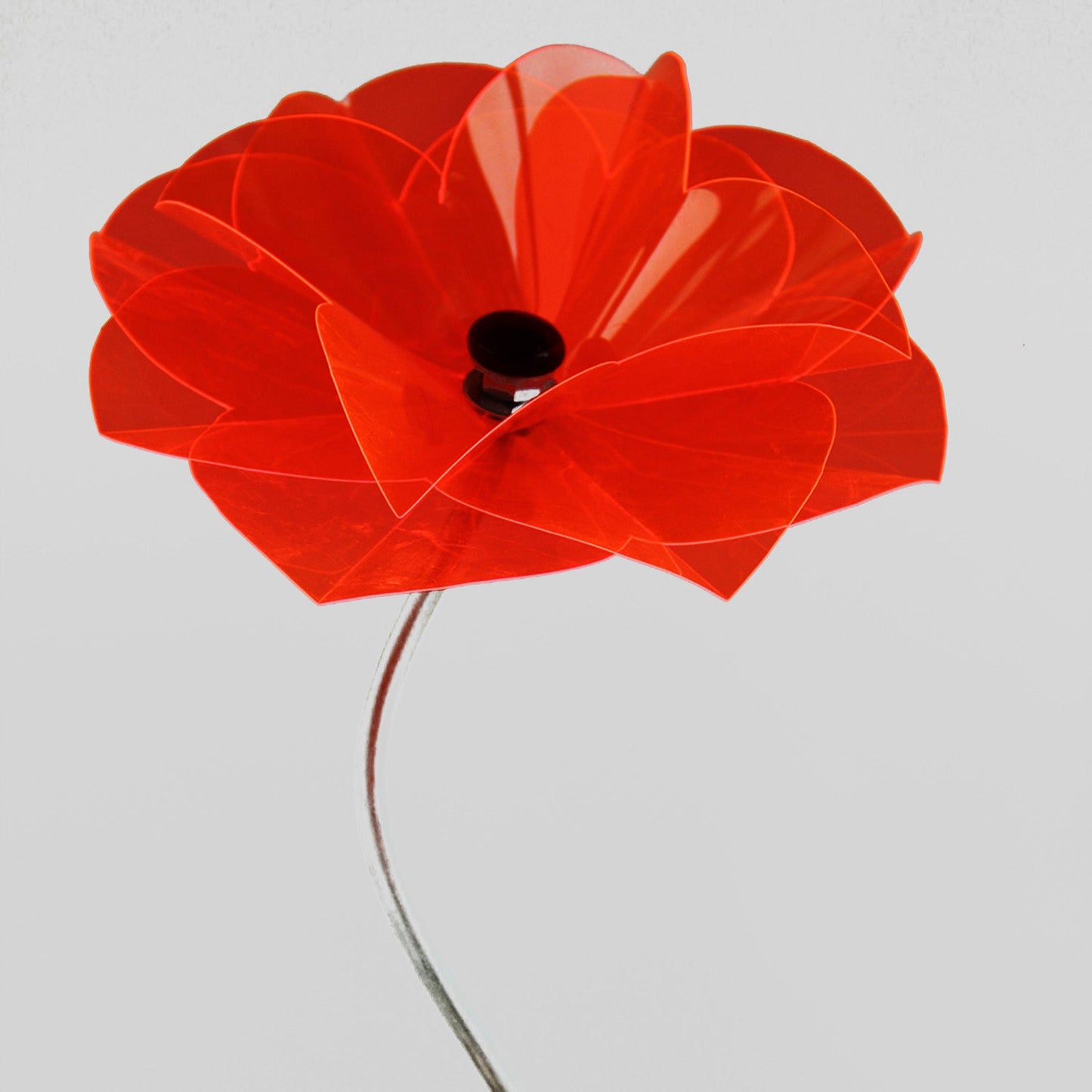 Poppy Flower Skewed 1m, flower ca 20 cm diam