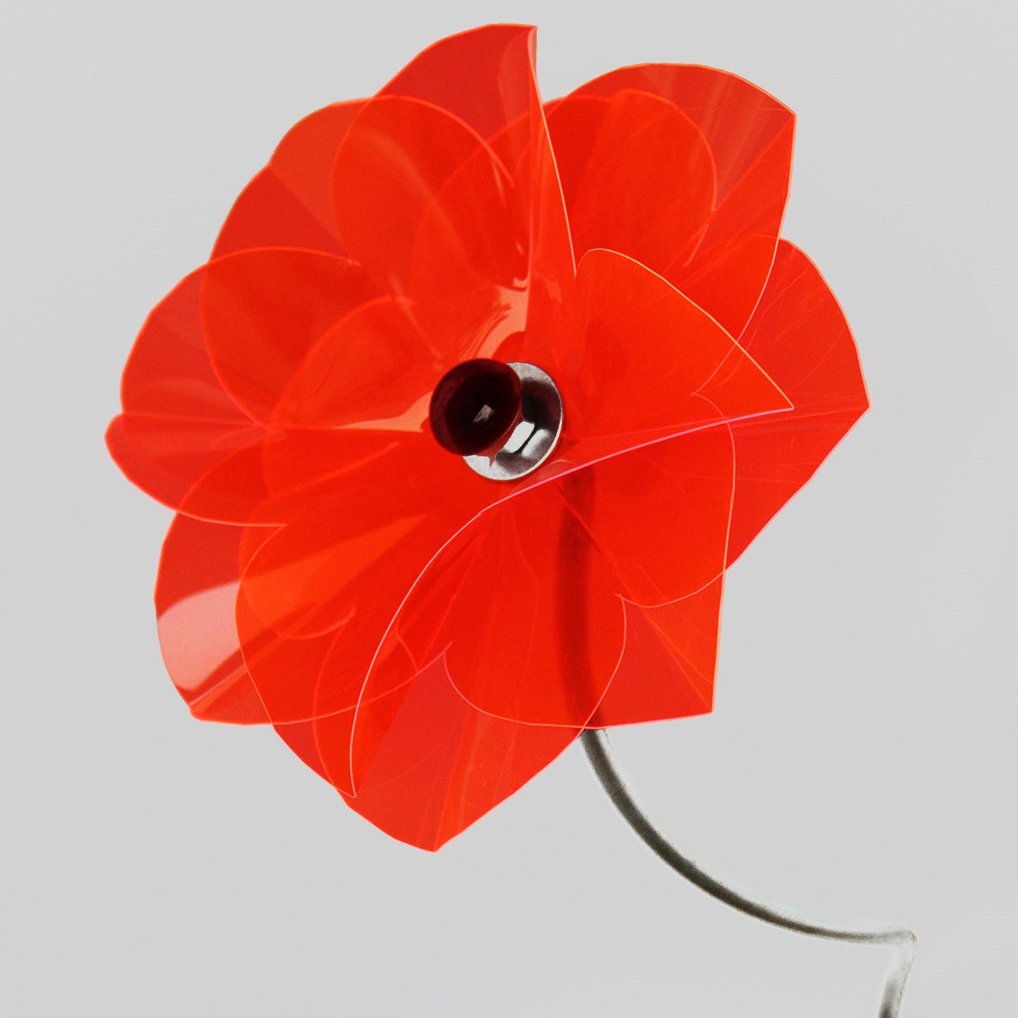 Poppy Flower Skewed 30- 40 cm, flower ca 12 cm diam, all individual