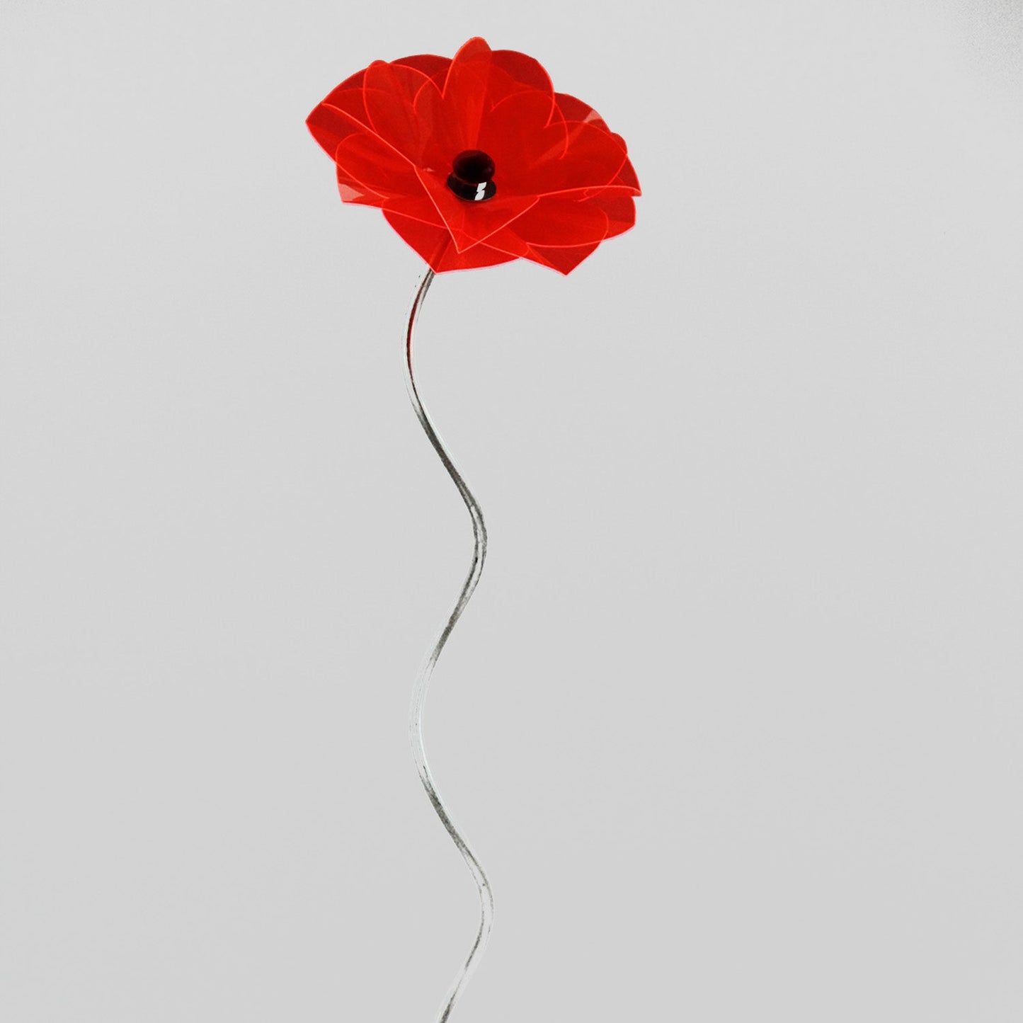Poppy Flower Skewed 1m, flower ca 20 cm diam