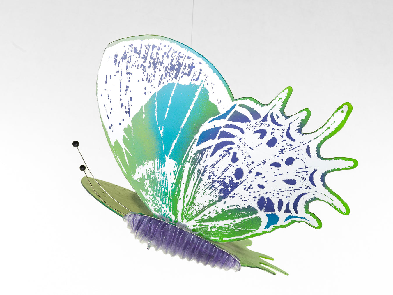 Papillon- green/ blue