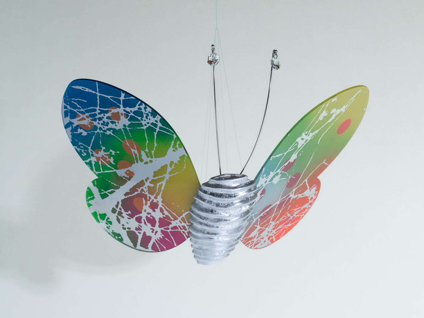 Papillon multi- branch