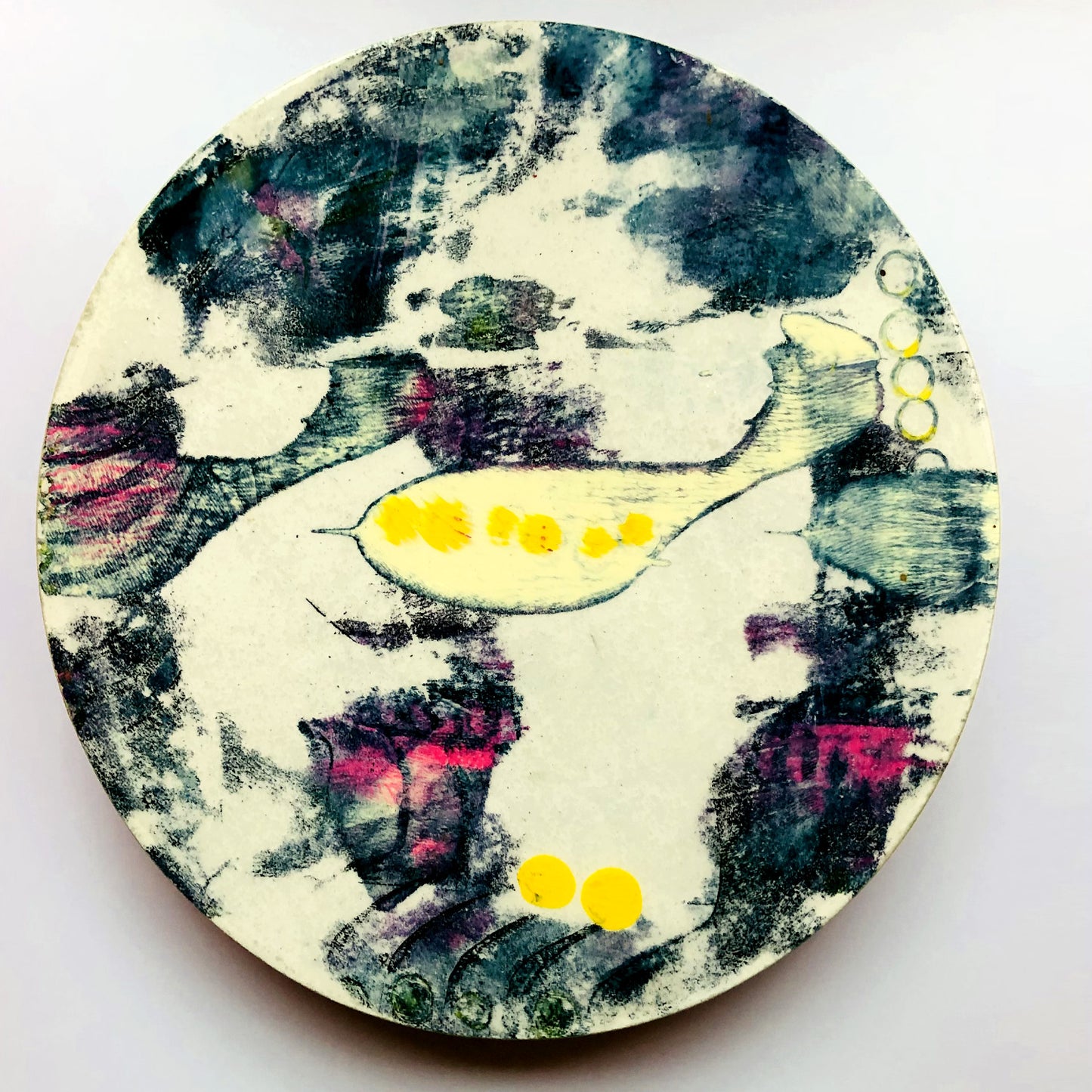 Oracle light yellow fish