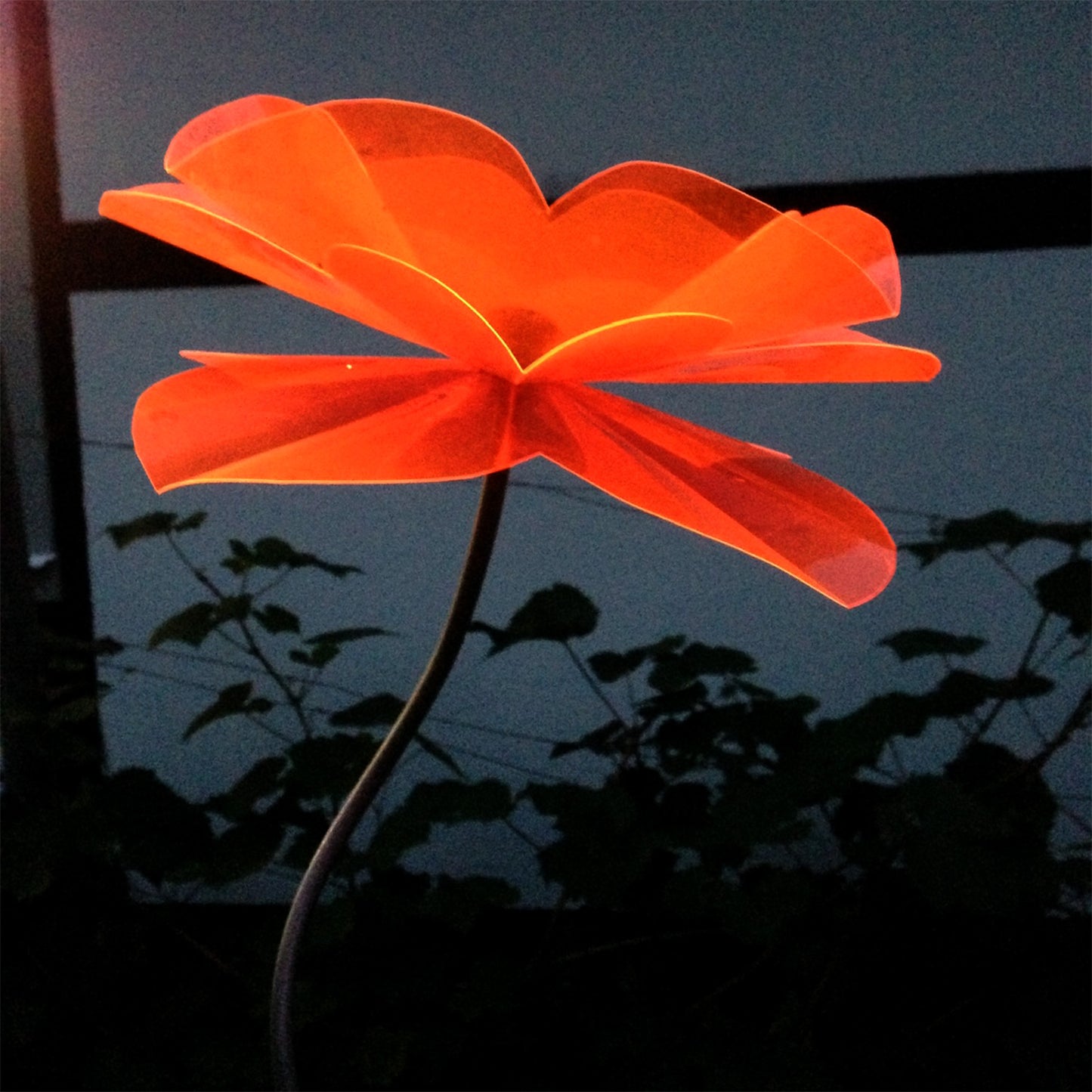 Poppy Flower Skewed 1m, flower ca 20 cm diam