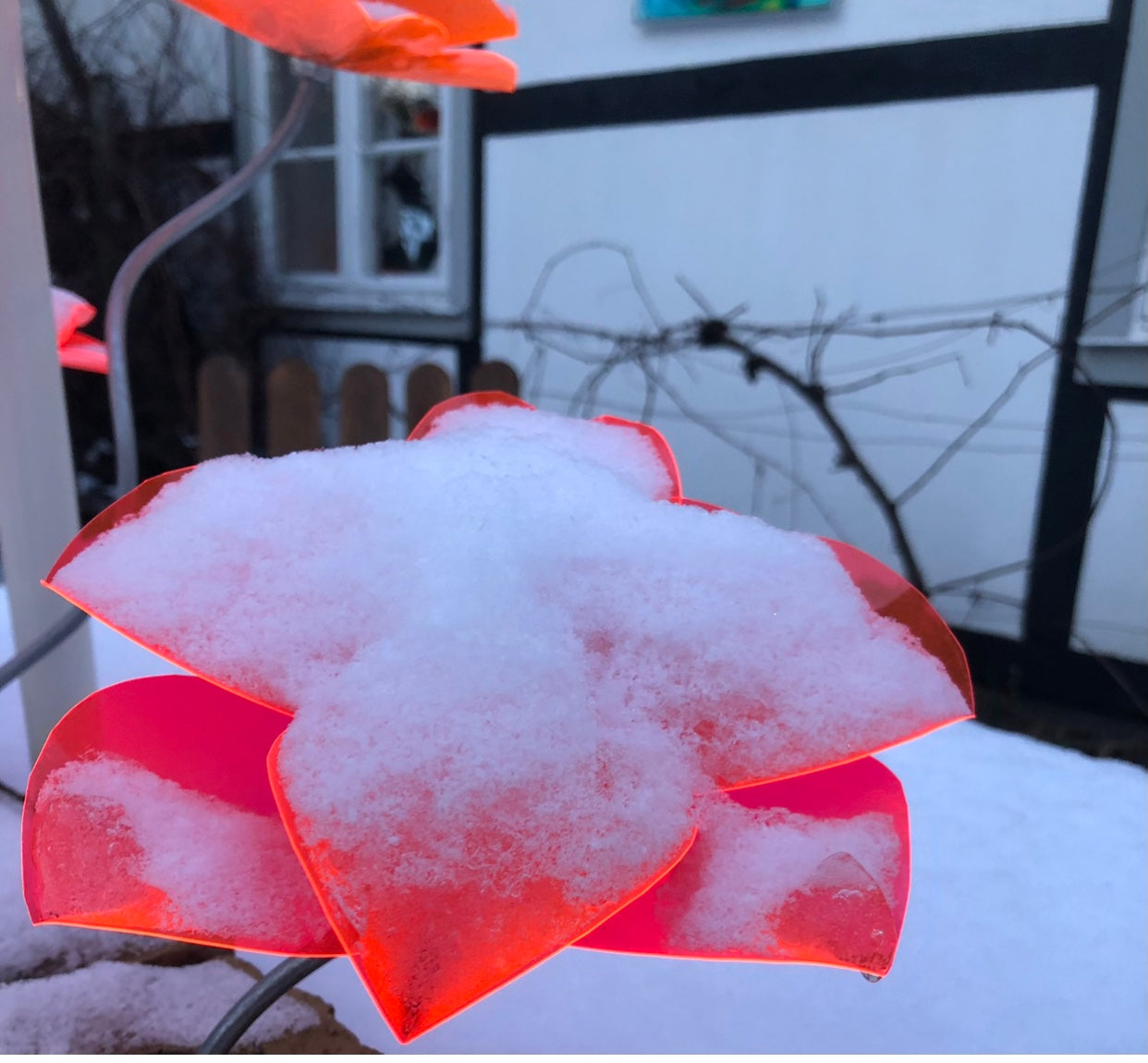 Poppy Flower Skewed 1m, flower ca 20 cm diam