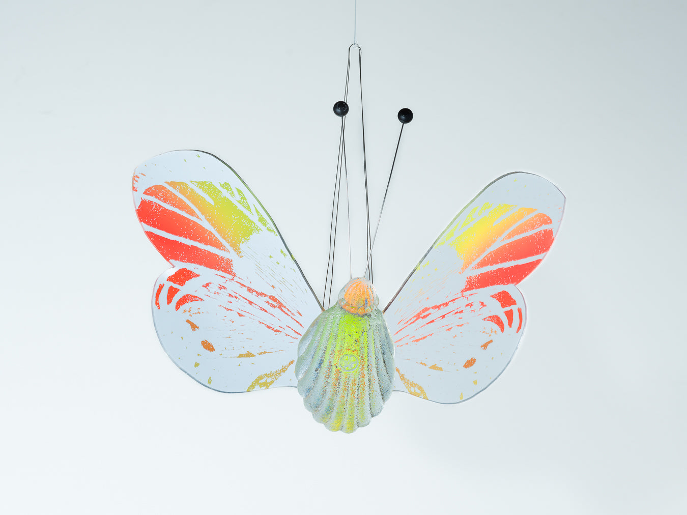 Papillon orange/ yellow