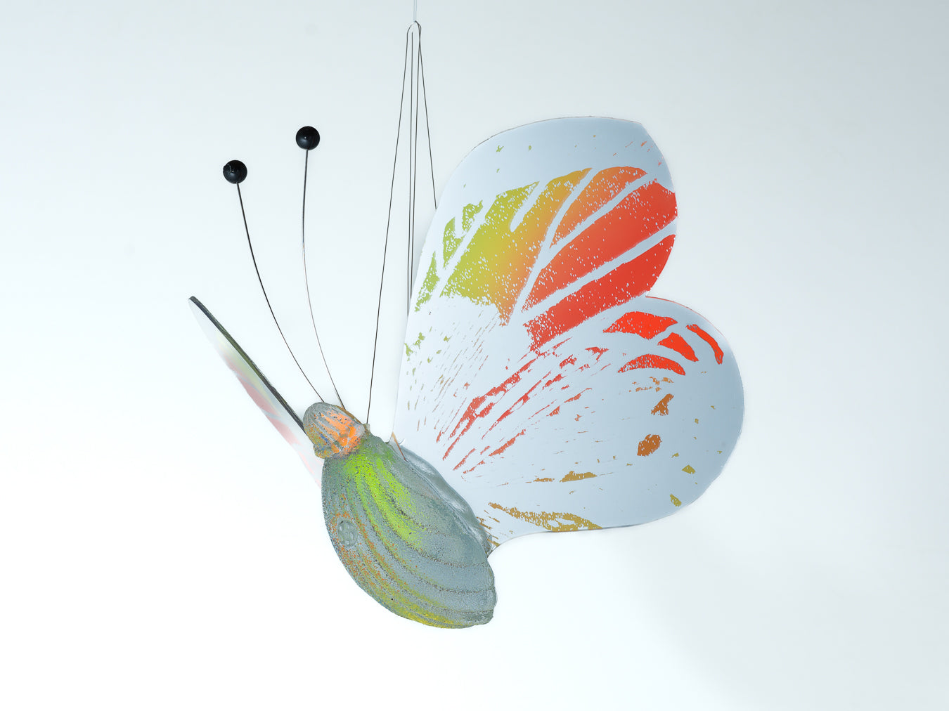 Papillon orange/ yellow
