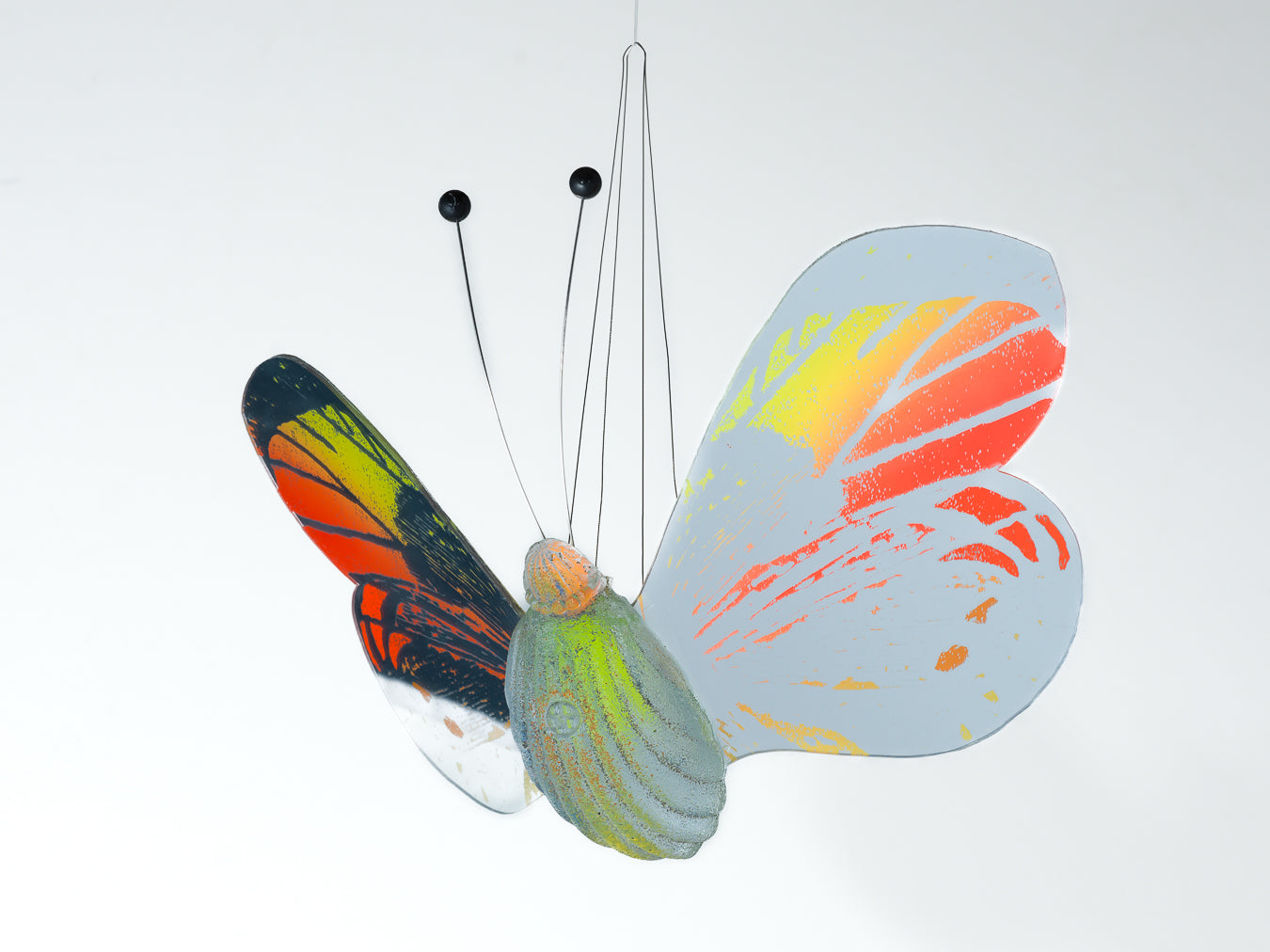 Papillon orange/ yellow
