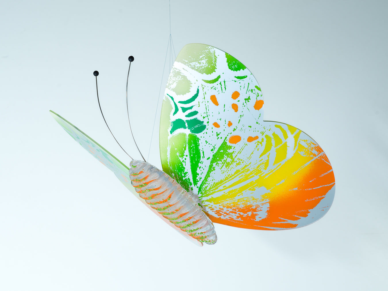 Papillon yellow/ lime/ orange