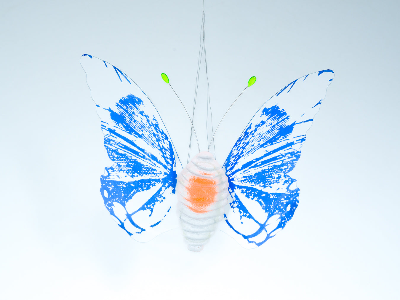 Papillion Transparent- blue