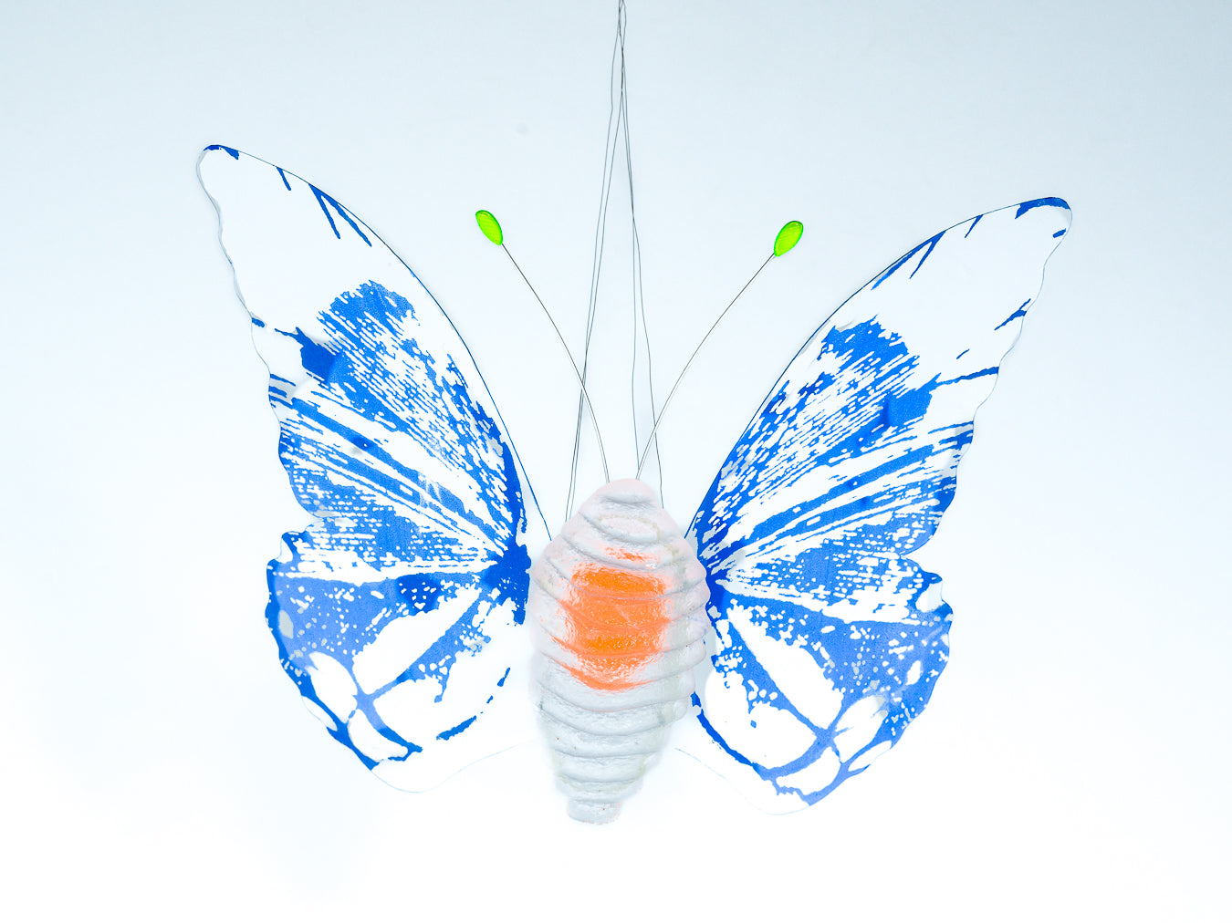 Papillion Transparent- blue