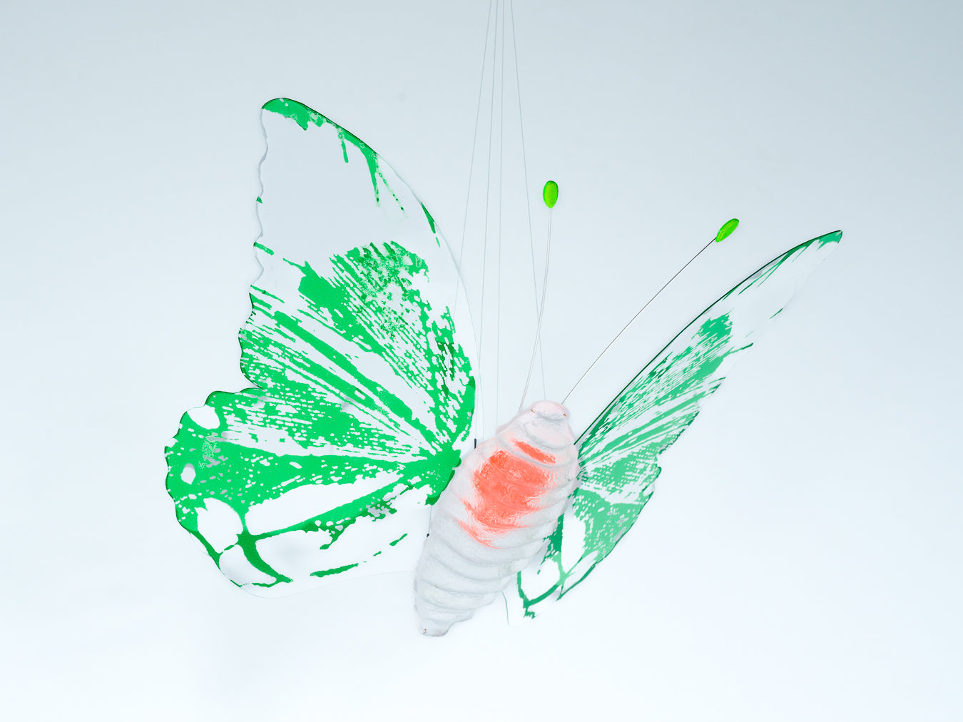 Papillion Transparent- green