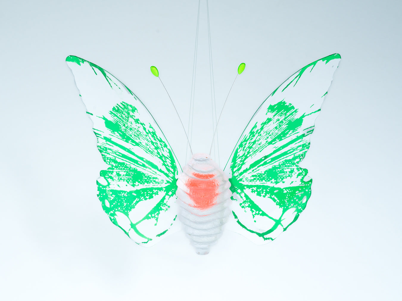 Papillion Transparent- green