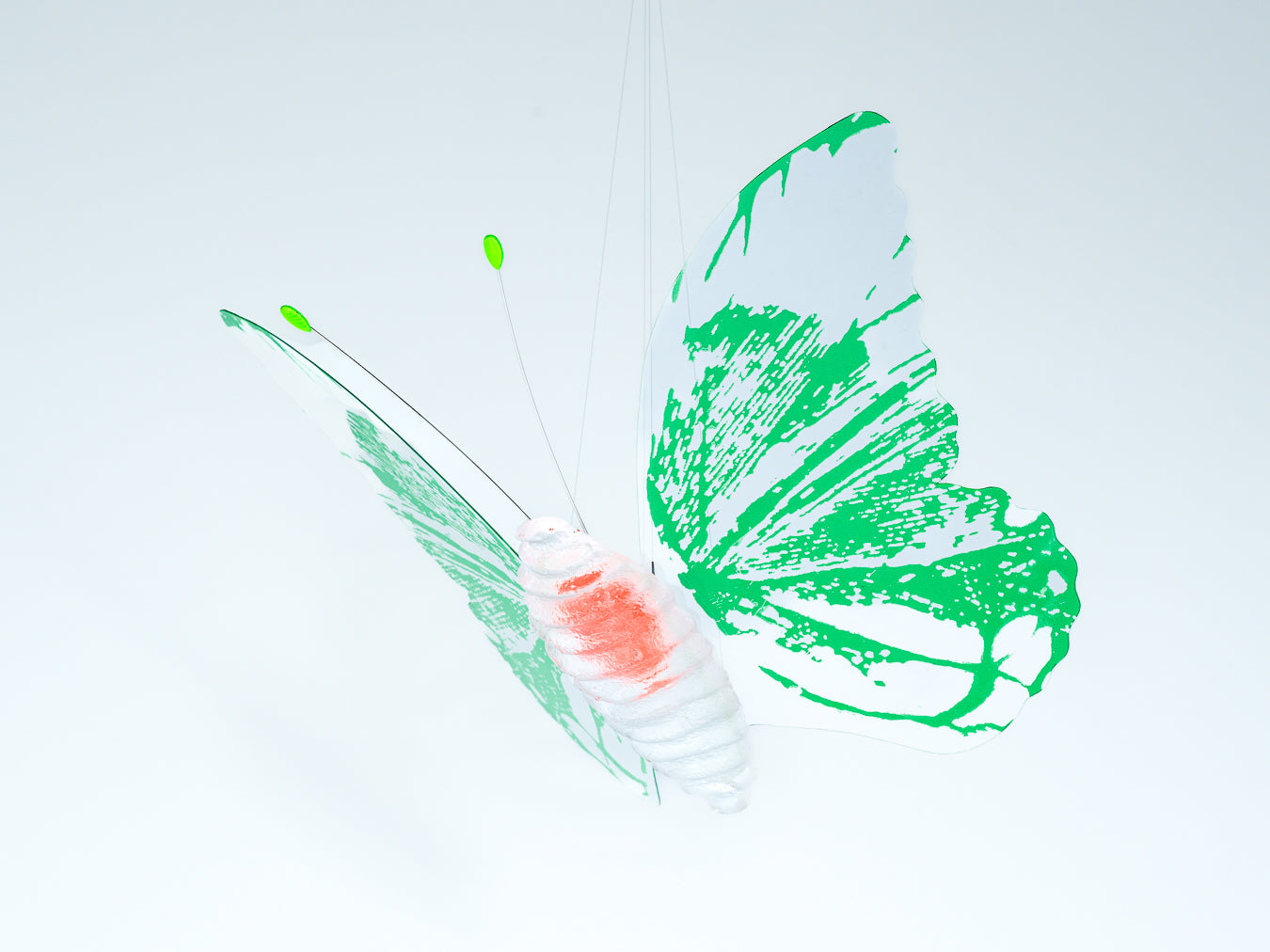 Papillion Transparent- green