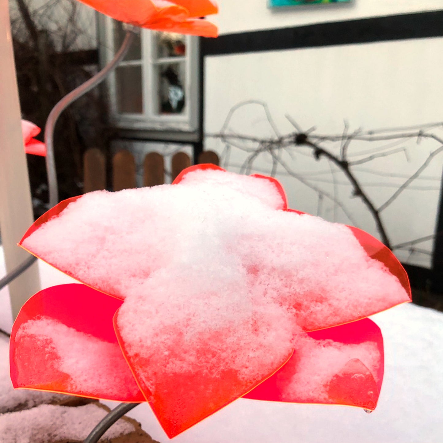 Poppy Flower Skewed 1m, flower ca 20 cm diam